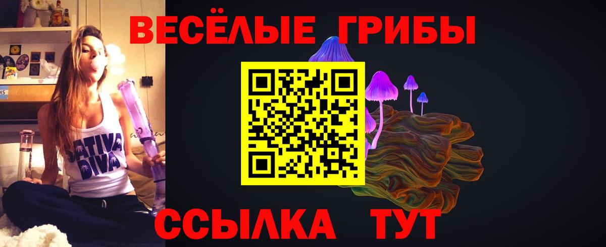 Тамбов  Псилоцибиновые грибы Magic Shrooms  магазин продажи наркотиков  Вход с VPN 